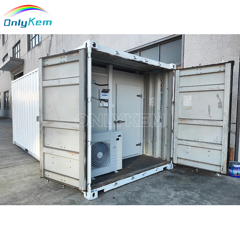 20FT 40HQ Walk in Freezer Storage Container Cold Room